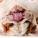 Weeerk it!