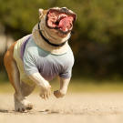 You go, grrrrl!