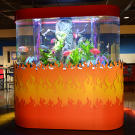 Fairleigh Dickinson University Tank