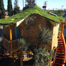 Treehouse Masters, Irish Cottage, Huntington Beach, CA