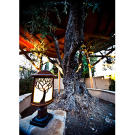 Treehouse Masters, Irish Cottage, Huntington Beach, CA