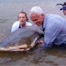 Jeremy Wade holds a massive bull shark that he caught in southern Africa's Zambezi River.