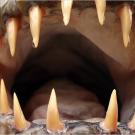 The goliath tigerfish has sharp, triangular teeth that interlock like scissors. These can easily take lumps out of other fish, even crocodiles, and there are well-documented stories of these fish taking chunks of flesh out of people.