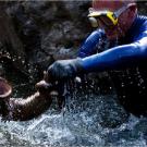Jeremy Wade uses protective gloves to capture a Japanese giant salamander. The gloves are necessary so that the salamander doesn't slip out of his hands or inflict a painful bite!