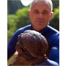 Although the Japanese giant salamander has no natural predators, it may be at risk of extinction in the near future because of continued hunting, over-collection, pollution and loss of habitat.