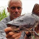 Jeremy Wade with a relatively small Kamba catfish. This fish is capable of growing to 5 feet and 300 pounds, or perhaps bigger.