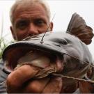 Very little is known about the Kamba catfish. It's assumed that this bizarre fish is an omnivore and, like most catfish, a bottom-feeder.