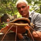 Kamba Catfish