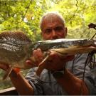 The Vundu catfish is one of the longest freshwater fish in southern Africa, if not the heaviest. Like a snakehead, it can survive for long periods of time out of water.