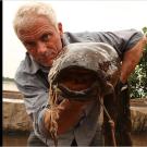 African lungfish are periodically exposed to water with low oxygen content or situations in which their aquatic environment dries up. Their adaptation for dealing with these conditions is an outpocketing of the gut that serves as a lung.