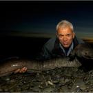 Longfin eels appear to be scaleless, but they actually have small scales embedded deep into their thick skin.
