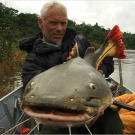Jeremy Wade with a red-tailed catfish. This fish has a wide mouth with grasping pads for holding prey. Catfish lack sharp teeth because they swallow their prey whole.