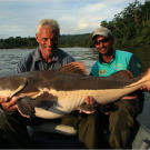 The red-tailed catfish has a huge, bony head and leathery body. This fish was pumping air over its gills, making strange sounds, when Jeremy brought it to the surface.