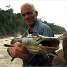 Jeremy Wade with a Jau catfish (Zungaro zungaro). A powerful and sinister-looking fish, the Jau has dark skin to blend in with the deep, rocky pools where it lives, and a muscular midriff and chunky tail for swimming against strong currents.
More Killer Fish Photos | About the Piraiba Catfish | A Growling Piraiba Catfish (video) | Air-Breathing Catfish (video) | A Muscular Amazon Catfish (video) | Fish Swims Up Urine Stream (video)