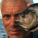 Jeremy Wade with a 1-pound black piranha, the largest of the roughly 40-known piranha species.