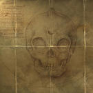 Early drawing of an alleged mermaid skull.