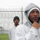 Inmates at Angola Prison can choose to cooperate with officials at the penitentiary and earn special privileges, most of which allow them to work with animals.