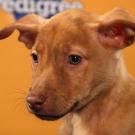 Name: Marbles