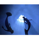Mermaids swimming through the deep ocean.