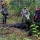 North Woods Law