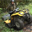 North Woods Law