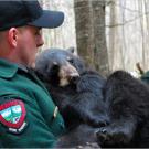 North Woods Law