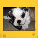 Name: Rugby