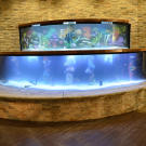 St. Leo School Tank