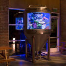Beer Fermenter Tank for Pizza Port
