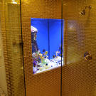 Roxbury Hotel Tank