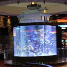 Wind Creek Casino and Hotel Tank