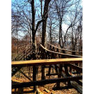The Treetop Taphouse