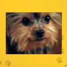 Name: Zoey