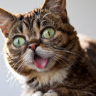 bub-06-625x450