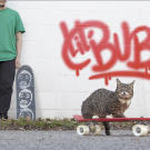 bub-07-625x450