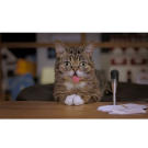 bub-09-625x450