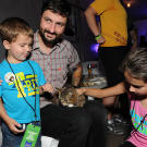 lil-bub-catvidfest-08-625x450