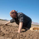 Les Stroud hunts for clams in an estuary on Tiburon Island.