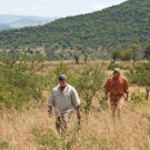The survival duo starts out across the bush with all their senses on high alert. It's best to create a rapidly alternating rhythm of looking down — to avoid holes and snakes — and looking around to check for four-legged threats.