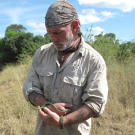 Dave can't resist the chance to make friends with a young non-venomous bush snake.