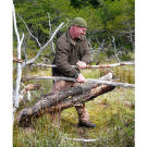 Dave uses a pair of heavy logs as the weighted striking force in a spiked deadfall beaver trap.