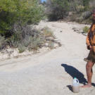 Probing for underground water sources in the most likely spots -- the lowest, well shaded parts of dry watercourses, for example -- Cody recovers a few quarts of silty water. Because it was protected in an aquifer, the water is deemed safe to drink without filtering even if it's not exactly refreshing.