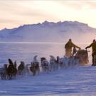 The Sirius Patrol in northern Greenland (6 a.m., -31°F).