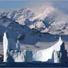 Icebergs in a South Georgia bay.