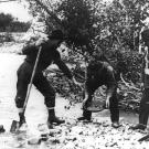 Most of the first prospectors had little to work with other than mining pans and shovels. After the easy finds quickly played out, the more industrious crews set up larger operations that involved the massive processing of river bed material. In the end, as many as half of those who made it to the Klondike gold fields never did any prospecting; these men either found other work or turned around and walked back.