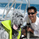 Do dogs splashing about in the water attract sharks? Grant Imahara put his robot-making skills to good use for Shark Week 2008.