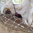 Cody and Dave wait out the worst of a rain shower using the old tarp that they also found at the abandoned still. When the weather clears a bit, they'll turn the tarp into the skin of their new raft that will let them use the river to make much faster time getting back to civilization.