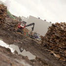 Looks like the loggers have been very busy!