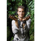 The jungle floor is alive with animals and bugs. Big ones. And mud, too.