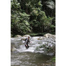 In Borneo, Bear Grylls heads downstream along the river. Why downstream? Because it "should eventually lead to a bigger river and then to civilization."